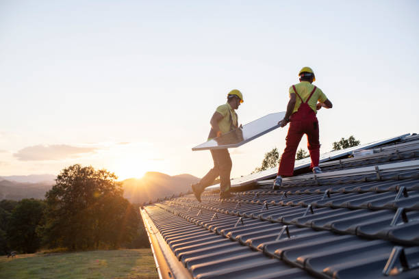 Best Roof Moss and Algae Removal  in Penn Wynne, PA